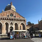 Padua Suite